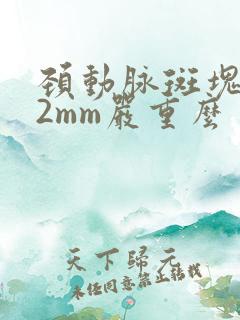 颈动脉斑块8×2mm严重么
