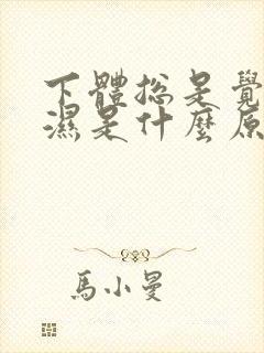 下体总是觉得潮湿是什么原因