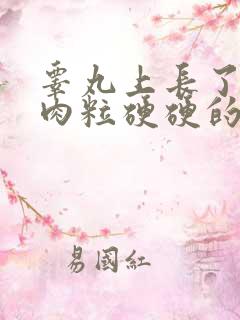 睾丸上长了个小肉粒硬硬的