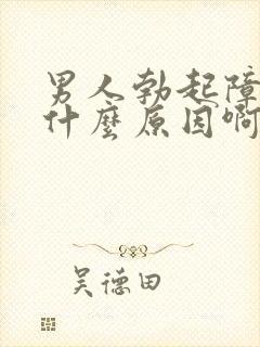 男人勃起障碍是什么原因啊