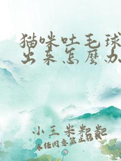 猫咪吐毛球吐不出来怎么办