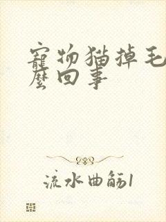 宠物猫掉毛是怎么回事