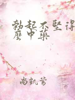 勃起不坚得吃什么中药