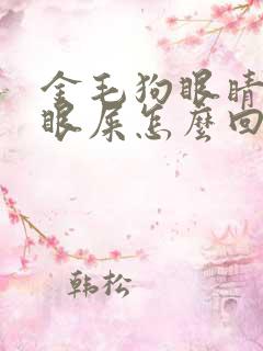 金毛狗眼睛红有眼屎怎么回事