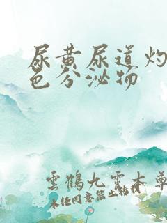 尿黄尿道灼热白色分泌物