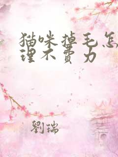 猫咪掉毛怎么清理不费力