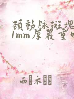 颈动脉斑块2.1mm厚严重吗