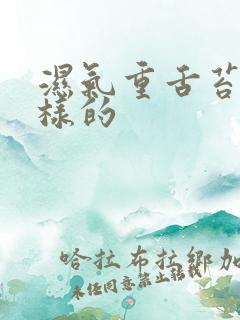 湿气重舌苔什么样的