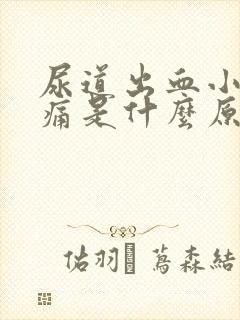 尿道出血小便刺痛是什么原因引起的