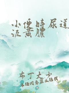 小便时尿道刺痛流黄脓