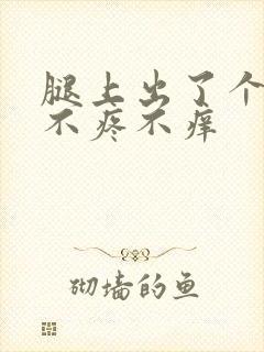 腿上出了个疙瘩不疼不痒