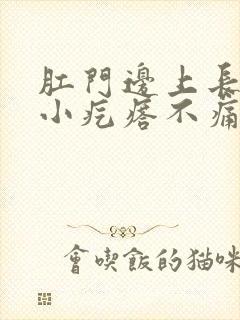 肛门边上长一个小疙瘩不痛不痒