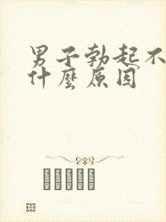 男子勃起不坚是什么原因