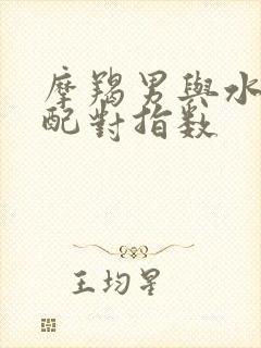 摩羯男与水瓶女配对指数