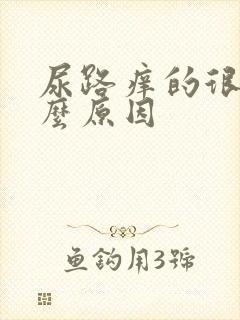 尿路痒的很是什么原因