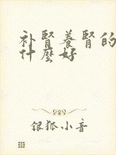 补肾养肾的药吃什么好