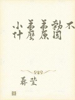 小弟弟勃不起来什么原因