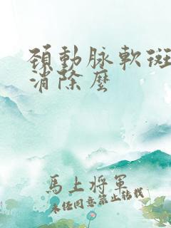 颈动脉软斑块能消除么