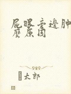 屁眼旁边肿痛什么原因