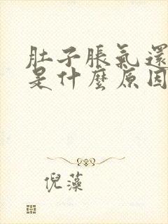 肚子胀气还放屁是什么原因