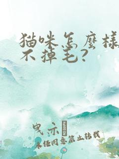 猫咪怎么样才能不掉毛?