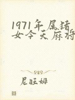 1971年属猪女今天麻将运气如何