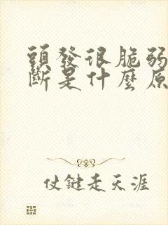 头发很脆弱容易断是什么原因