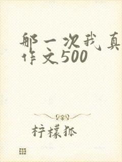 那一次我真感动作文500