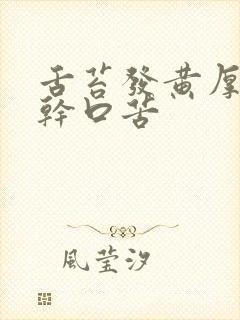 舌苔发黄厚腻口干口苦