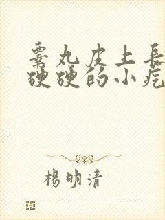 睾丸皮上长一个硬硬的小疙瘩