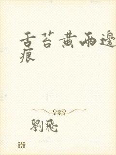 舌苔黄两边有齿痕