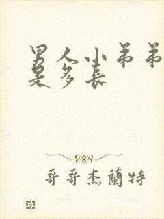 男人小弟弟正常是多长