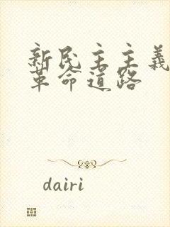 新民主主义革命革命道路