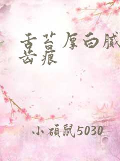 舌苔厚白腻 有齿痕