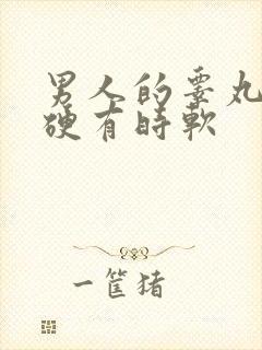 男人的睾丸有时硬有时软