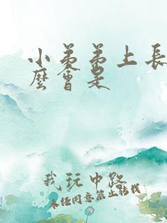 小弟弟上长痘怎么会是