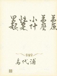 男性小弟弟硬不起是什么原因