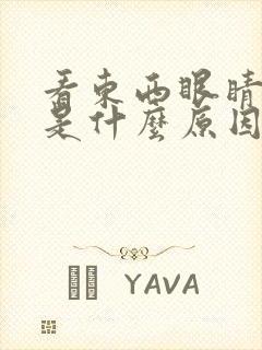 看东西眼睛模糊是什么原因