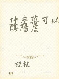 什么药可以补肾阴阳虚