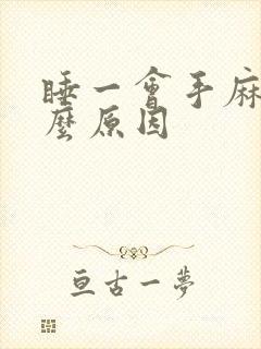 睡一会手麻是什么原因