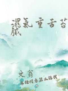 湿气重舌苔白厚腻