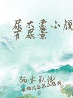 尿不尽小腹按压有尿意