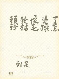 头发像烫了一样干枯毛躁怎么回事