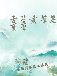 舌苔黄厚是湿气重么