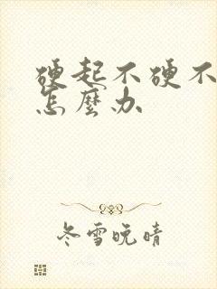 硬起不硬不持久怎么办