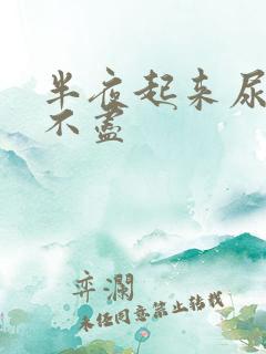 半夜起来尿频尿不尽