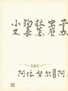 小狗拉虫子又细又长怎么办吃什么药