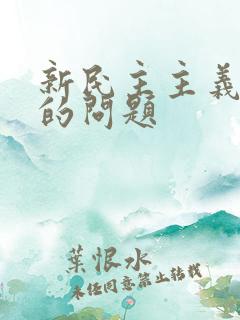 新民主主义革命的问题