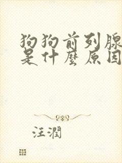 狗狗前列腺肥大是什么原因引起的