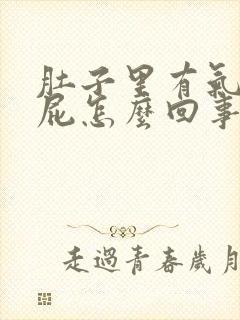 肚子里有气爱放屁怎么回事